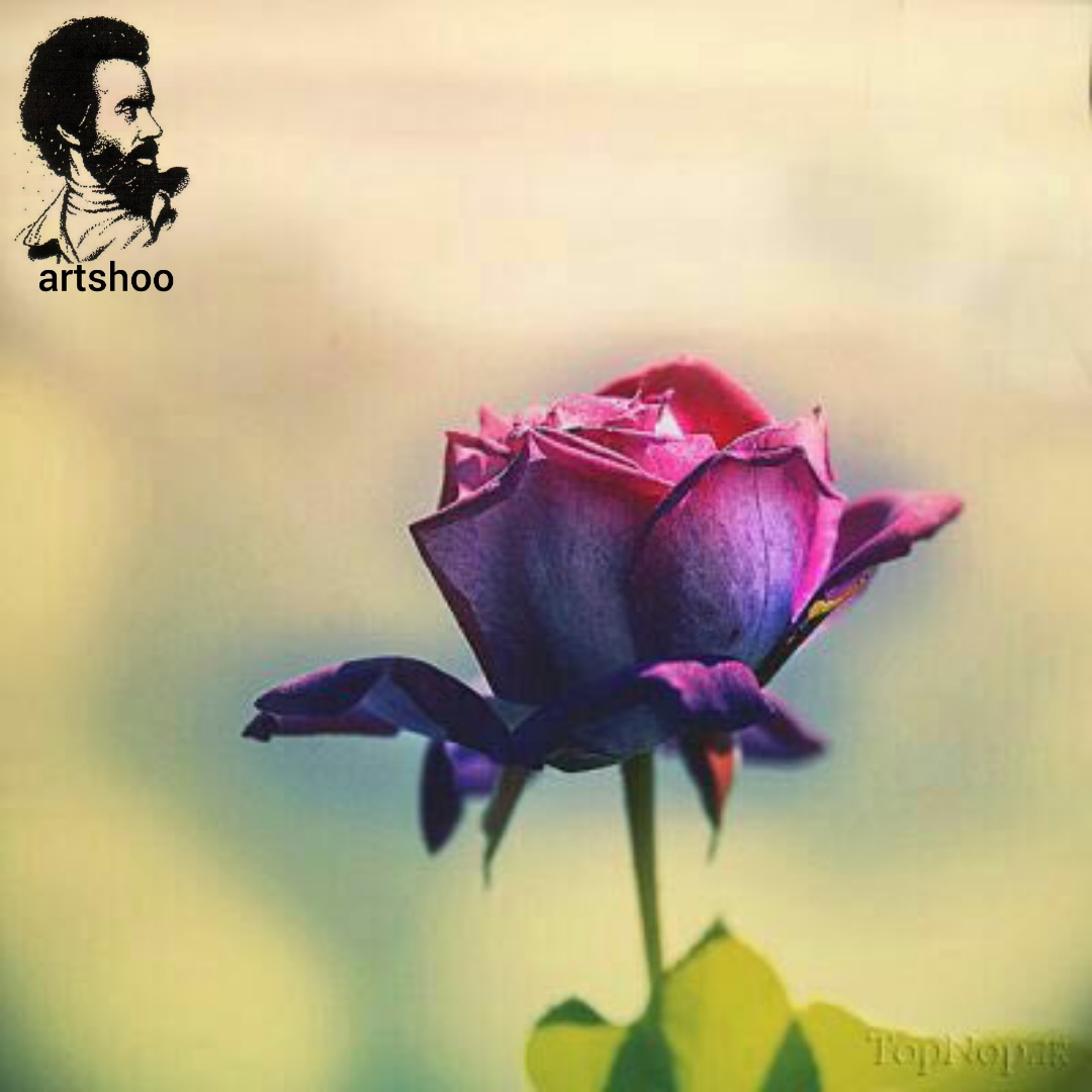 گل اورژینال رنگ روغن